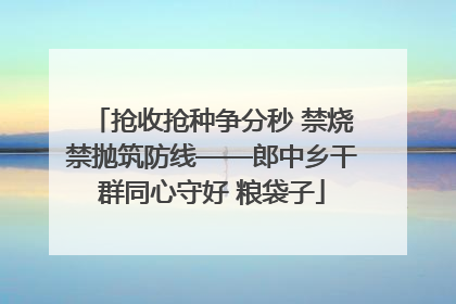 抢收抢种争分秒 禁烧禁抛筑防线——郎中乡干群同心守好 粮袋子