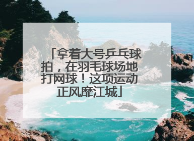 拿着大号乒乓球拍，在羽毛球场地打网球！这项运动正风靡江城