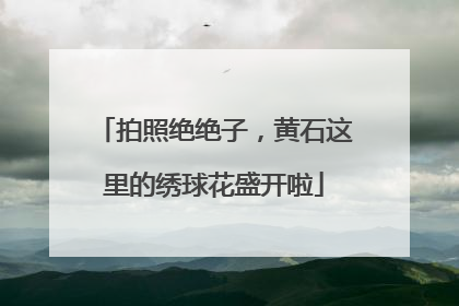 拍照绝绝子，黄石这里的绣球花盛开啦