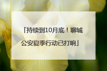 持续到10月底！聊城公安夏季行动已打响