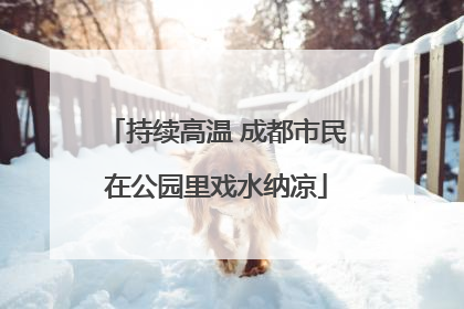 持续高温 成都市民在公园里戏水纳凉