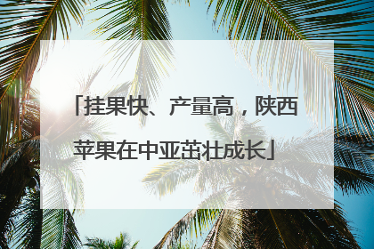 挂果快、产量高，陕西苹果在中亚茁壮成长