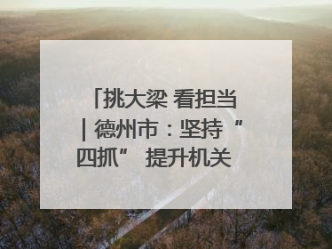 挑大梁 看担当｜德州市：坚持“四抓” 提升机关党建质效