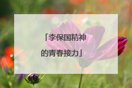 李保国精神的青春接力