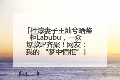 杜淳妻子王灿兮晒整柜Labubu，一众爆款IP齐聚！网友：我的 “梦中情柜”
