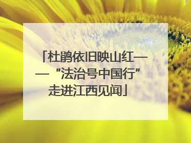 杜鹃依旧映山红——“法治号中国行”走进江西见闻