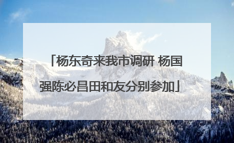 杨东奇来我市调研 杨国强陈必昌田和友分别参加