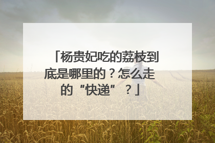 杨贵妃吃的荔枝到底是哪里的？怎么走的“快递”？