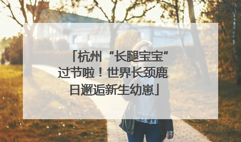 杭州“长腿宝宝”过节啦！世界长颈鹿日邂逅新生幼崽