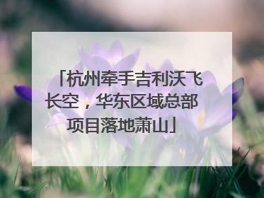 杭州牵手吉利沃飞长空，华东区域总部项目落地萧山