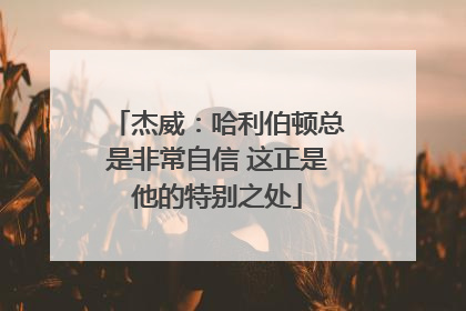 杰威：哈利伯顿总是非常自信 这正是他的特别之处