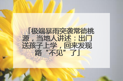 极端暴雨突袭常德桃源，当地人讲述：出门送孩子上学，回来发现路“不见”了