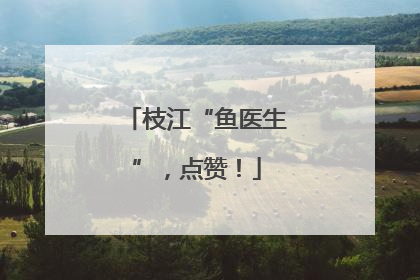 枝江“鱼医生”，点赞！