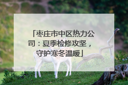 枣庄市中区热力公司：夏季检修攻坚，守护寒冬温暖