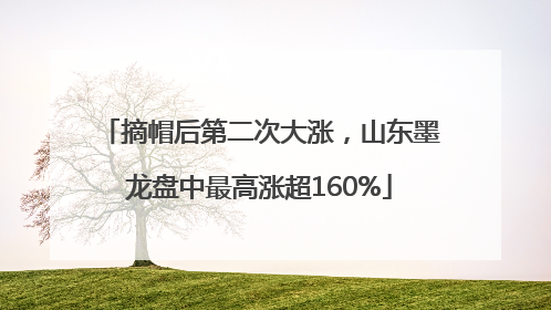 摘帽后第二次大涨，山东墨龙盘中最高涨超160%
