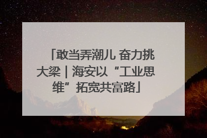 敢当弄潮儿 奋力挑大梁｜海安以“工业思维”拓宽共富路