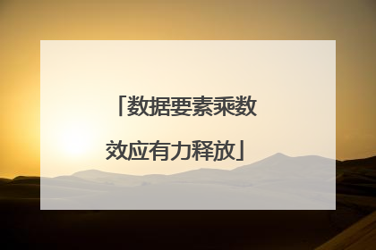 数据要素乘数效应有力释放