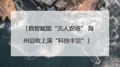 数智赋能“无人农场” 海州夏收上演“科技丰景”