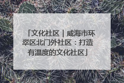 文化社区｜威海市环翠区北门外社区：打造有温度的文化社区