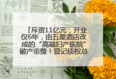 斥资11亿元，开业仅6年，由五星酒店改成的“高端妇产医院”破产重整！登记债权总额已超17亿元