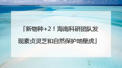 新物种+2！海南科研团队发现素贞灵芝和自然保护地壁虎