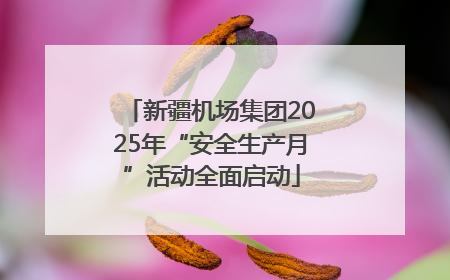 新疆机场集团2025年“安全生产月”活动全面启动