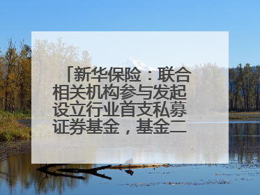 新华保险：联合相关机构参与发起设立行业首支私募证券基金，基金二期200亿元已募集完毕