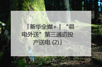 新华全媒+｜“疆电外送”第三通道投产送电 (2)