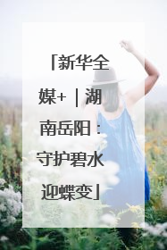 新华全媒+｜湖南岳阳：守护碧水迎蝶变