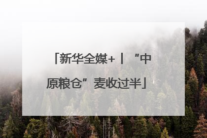 新华全媒+丨“中原粮仓”麦收过半
