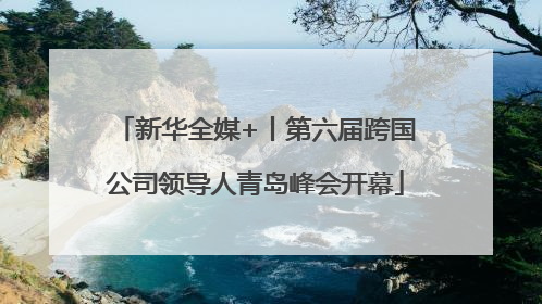 新华全媒+丨第六届跨国公司领导人青岛峰会开幕