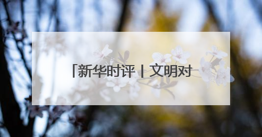 新华时评丨文明对话，互鉴共生——中欧人权研讨会十年之路的深刻启示