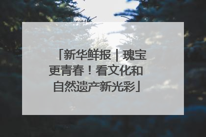 新华鲜报｜瑰宝更青春！看文化和自然遗产新光彩