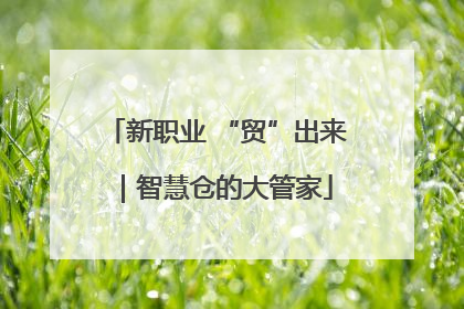 新职业 “贸”出来｜智慧仓的大管家
