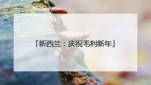 新西兰：庆祝毛利新年