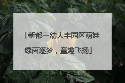 新都三幼大丰园区萌娃绿茵逐梦，童趣飞扬