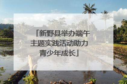 新野县举办端午主题实践活动助力青少年成长