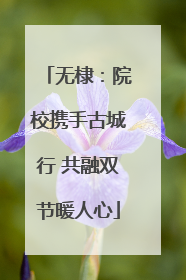 无棣：院校携手古城行 共融双节暖人心