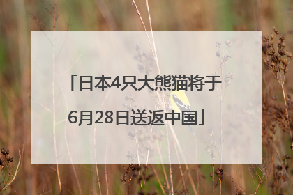 日本4只大熊猫将于6月28日送返中国