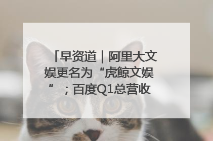 早资道｜阿里大文娱更名为“虎鲸文娱”；百度Q1总营收325亿元超预期