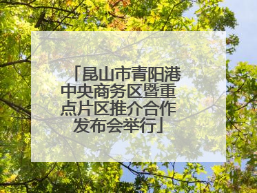 昆山市青阳港中央商务区暨重点片区推介合作发布会举行