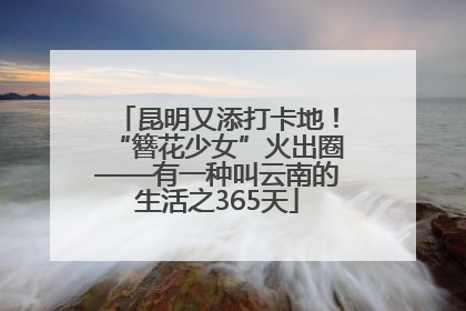 昆明又添打卡地！“簪花少女”火出圈——有一种叫云南的生活之365天