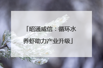昭通威信：循环水养虾助力产业升级
