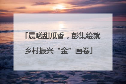 晨曦甜瓜香，彭集绘就乡村振兴“金”画卷