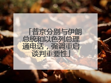 普京分别与伊朗总统和以色列总理通电话，强调重启谈判重要性