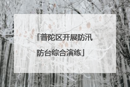 普陀区开展防汛防台综合演练