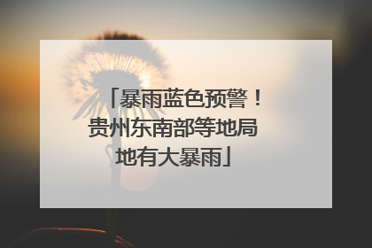 暴雨蓝色预警！贵州东南部等地局地有大暴雨