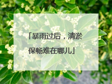 暴雨过后，清淤保畅难在哪儿