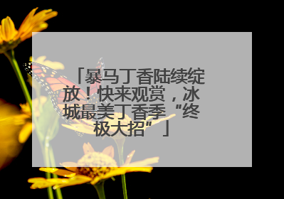 暴马丁香陆续绽放！快来观赏，冰城最美丁香季“终极大招”