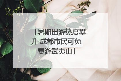 暑期出游热度攀升 成都市民可免费游武夷山